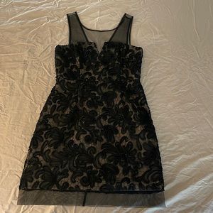 BCBG Lace Dress